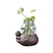 Vase soliflore mini pot thème pastoral, Verre et Céramique, Style A modèle bébé, orné d'une plante.