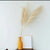 Vase orange avec fleurs séchées posé sur un meuble en bois.