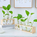 Cadre avec Soliflores "Home"   (Verre & Bois) - Vignette | Vase Cute