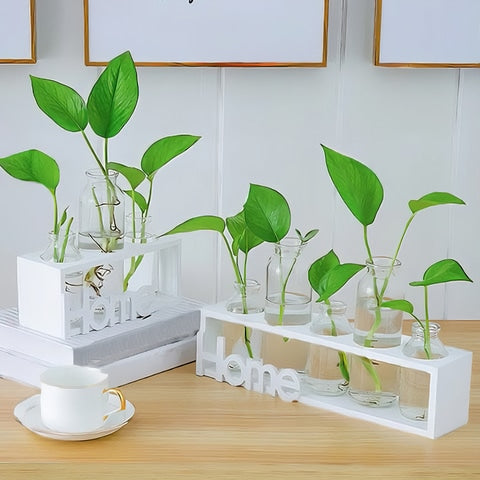Cadre avec soliflores home modèle bois blanc avec plantes hydroponiques mise en scène