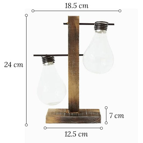 Soliflore ampoule avec support socle en bois modèle Duo avec dimensions sur fond blanc