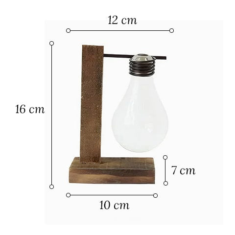 Soliflore ampoule avec support socle en bois modèle Solo avec dimensions sur fond blanc