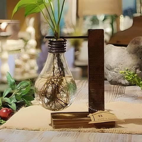 Soliflore ampoule avec support socle en bois présentation du modèle Solo avec une plante verte sur une table