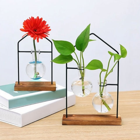 Soliflore boule suspendue encadrement maison en Verre Fer et Bois présentation des modèles Solo et Duo avec fleur gerbera rouge et plantes vertes