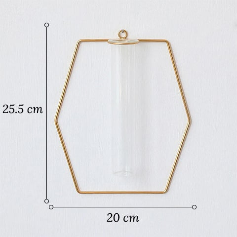 Soliflore cadre mural géométrique en verre et fer forgé dimensions du modèle Hexagonal.