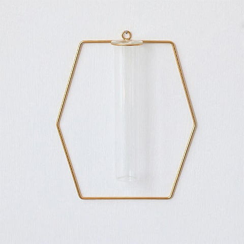 Soliflore cadre mural géométrique en verre et fer forgé modèle Hexagonal sur fond blanc.