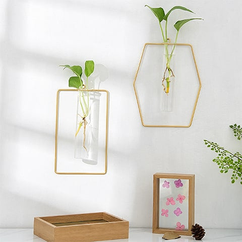 Soliflore cadre mural géométrique en verre et fer forgé, présentation des modèles Rectangulaire et Hexagonal accrochés au mur avec des plantes vertes.