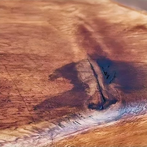 Soliflore en bois forme cruche détails du bois zoomer