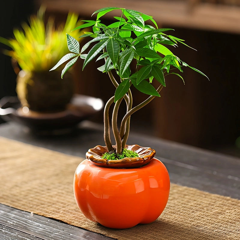 Soliflore Forme Kaki Fruit Exotique en Céramique présentation du modèle L avec plante verte.