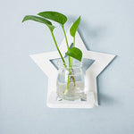 Soliflore en plastique mural géométrique   (Verre & plastique) - Vignette | Vase Cute