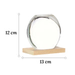 Soliflore Sphérique Transparent sur Socle en Bois - Vignette | Vase Cute