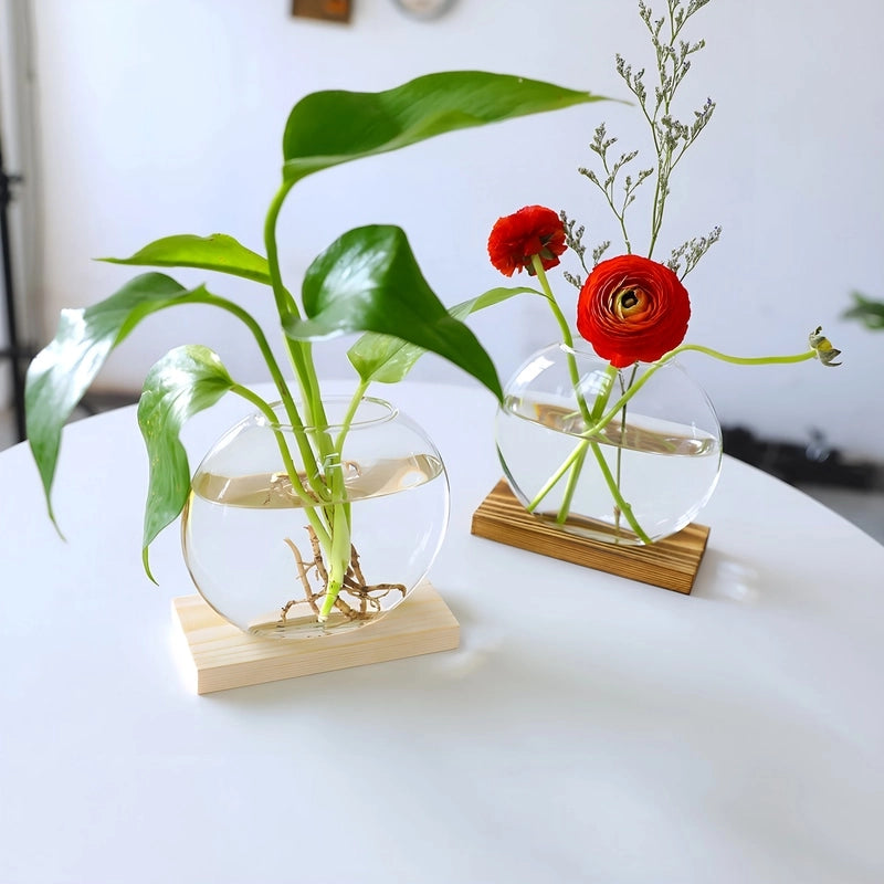Soliflore Sphérique Transparent sur Socle en Bois présentation des modèles beige et marron avec plantes vertes sur une table blanche.