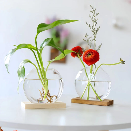 Soliflore Sphérique Transparent sur Socle en Bois présentation de tous les modèles avec plantes vertes et fleurs sur une table blanche.