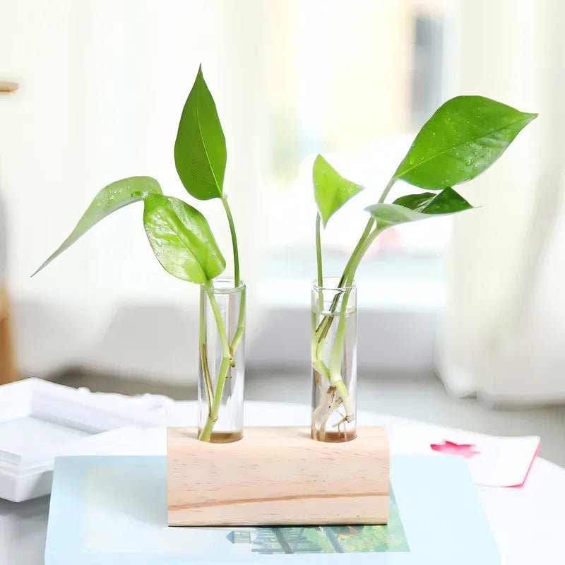 Soliflore Tube sur Support Bois Géométrique présentation du modèle B avec plantes vertes en hydroponie, posé sur un livre.