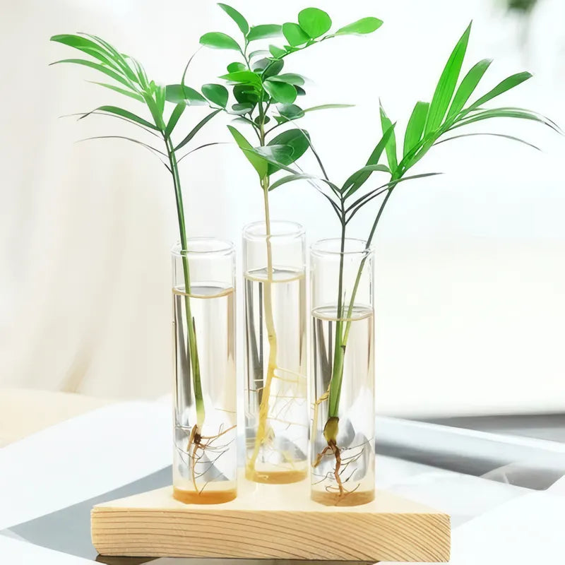Soliflore Tube sur Support Bois Géométrique présentation du modèle C avec plantes vertes sur un livre.