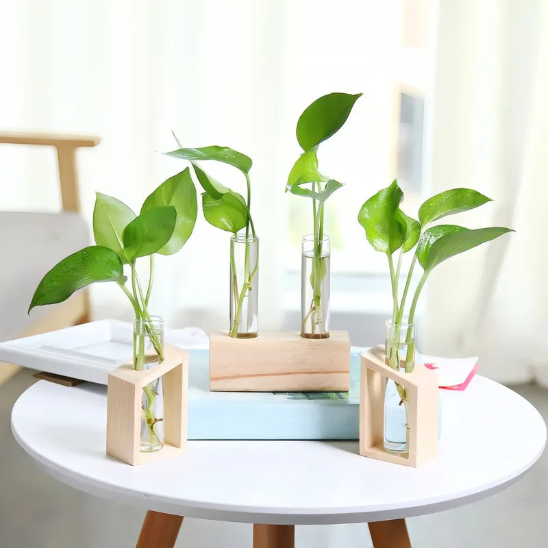 Soliflore Tube sur Support Bois Géométrique présentation des modèles A et B avec plantes vertes sur une table ronde.
