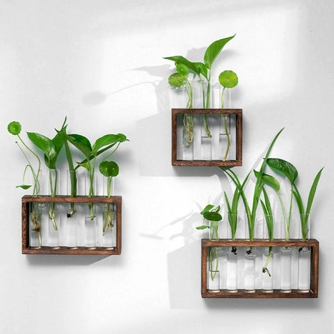 Soliflore Tubes Cadre Bois mural en Verre et Bois présentation modèles S et M marron accrochés au mur avec plantes vertes.
