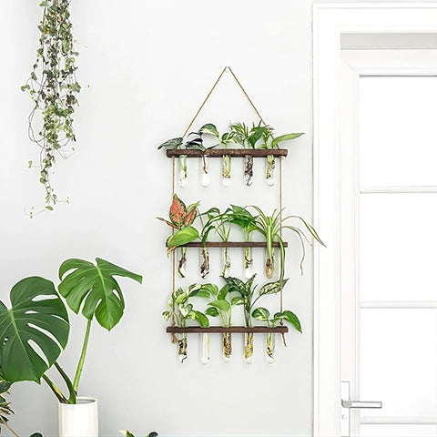 Soliflore vertical mural multi tubes en verre et bois, présentation du modèle couleur Bois, chaque tube contient une plante en hydroponie, l'ensemble est accroché au mur.