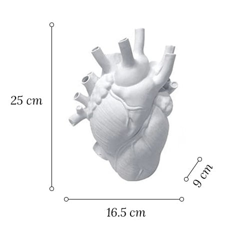 Vase cœur humain blanc en céramique dimensions du modèle Grand sur fond blanc