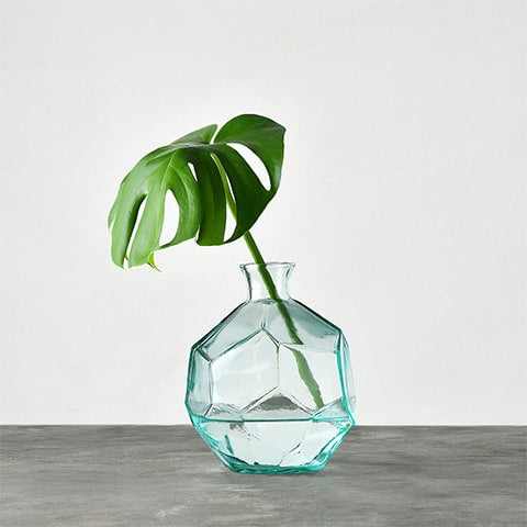 Vase géométrique polygonale transparent en verre présentation du modèle Rond avec plante
