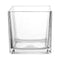 Vase Petit Cube Décoratif Transparent modèle 18 cm sur fond blanc sans fleurs.