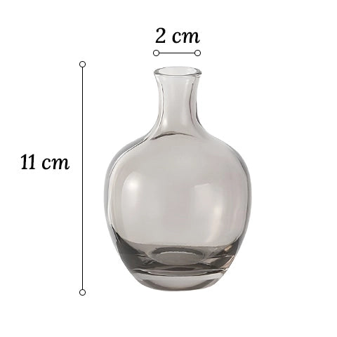 Vase Soliflore Mini Dame Jeanne en Verre dimensions sur fond blanc