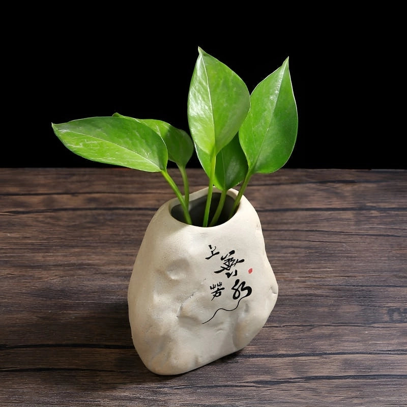 Vase Soliflore Mini-Rocher Zen présentation du modèle A avec plante verte, vue du dessus sur une table en bois.