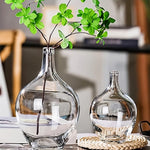 Vase Transparent Dame Jeanne - Vignette | Vase Cute