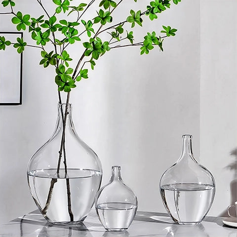 Vase transparent Dame Jeanne en verre, présentation de tous les modèles sur une table avec feuillage.