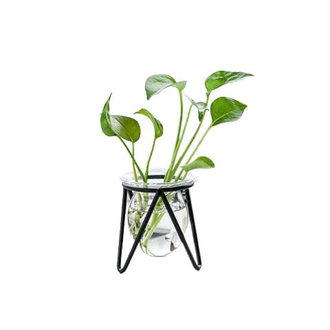Vase soliflore sur trépied en Verre & fer présentation modèle Noir avec plante
