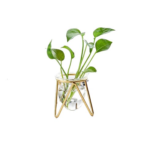 Vase soliflore sur trépied en Verre & fer présentation modèle Or avec plante verte