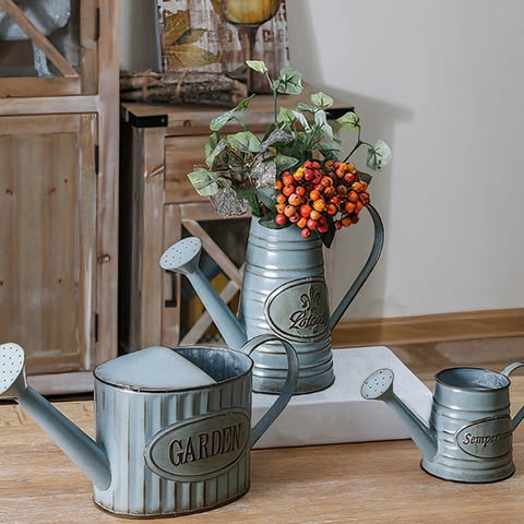 Vase vintages présentation de 3 modèles avec plante rouge