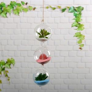 Vases créatifs boules suspendues en Verre présentation 1 avec plantes grasses